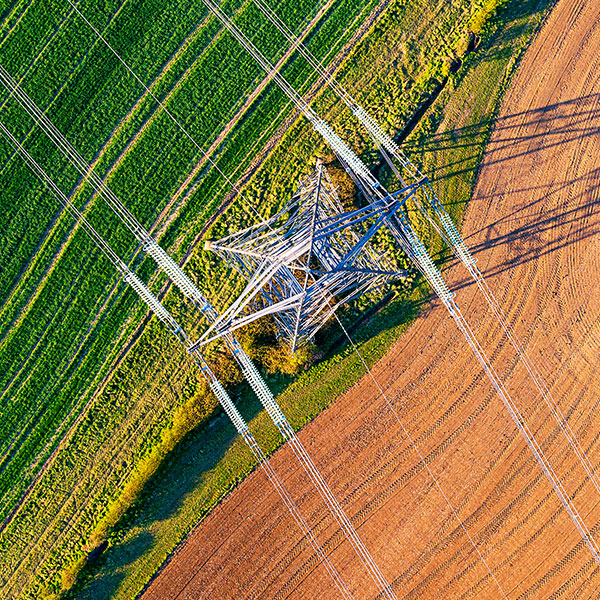 Powerlines in field macro rural