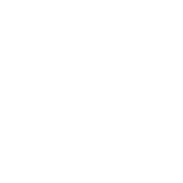 Money bag icon