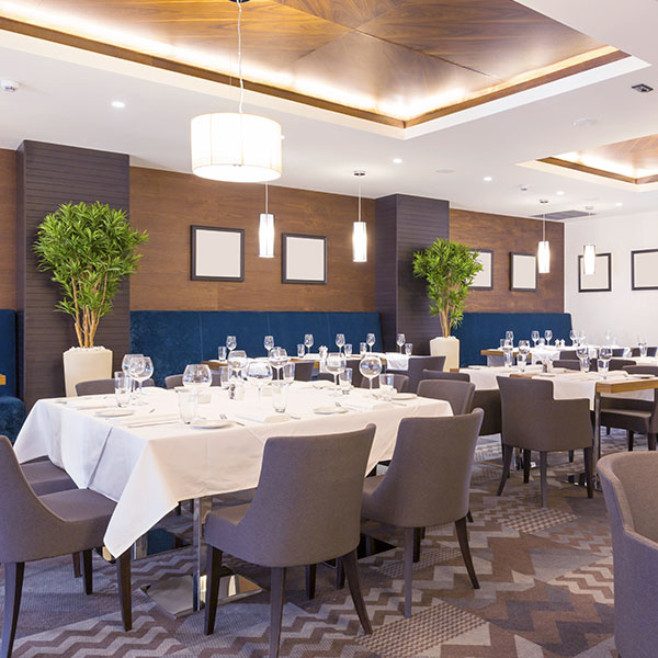 Hospitality indoor bright restaurant