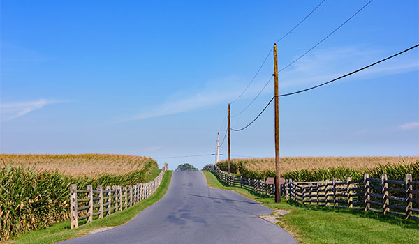 Rural road with broadband wires