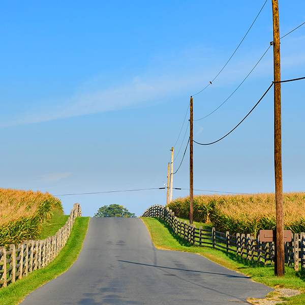 Electric Poles Country Road