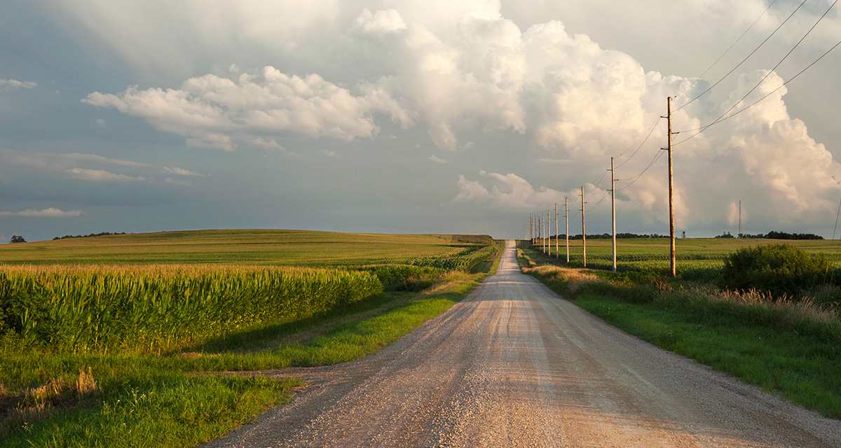 Power lines along rural road