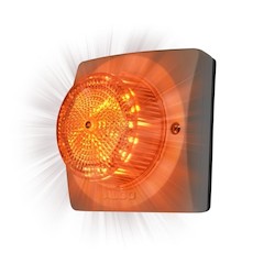Algo Mass Notification 8138