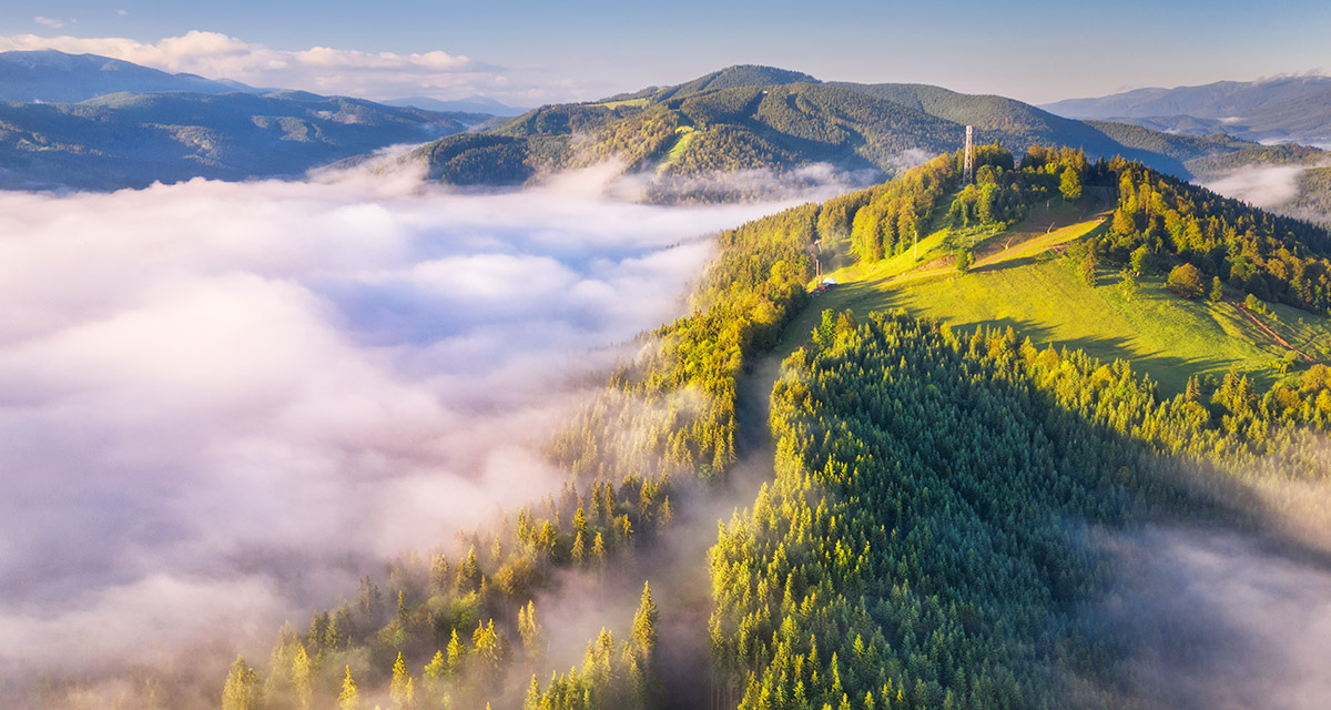 Aerial view of green mountains with fog