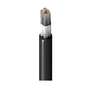 Belden_Electronic Wire and Cable