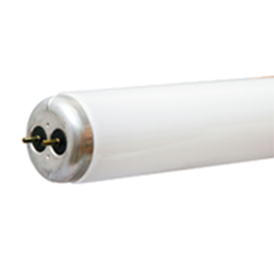 Current_Fluorescent Light Bulbs