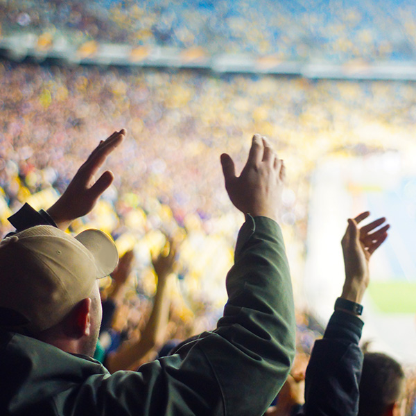 dormakaba sports and entertainment