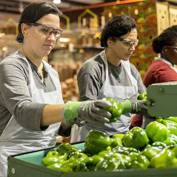 Honeywell Food and Beverage