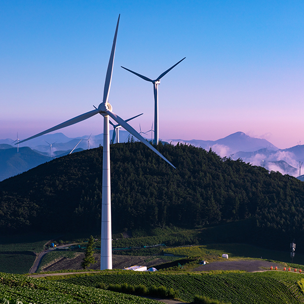Honeywell wind