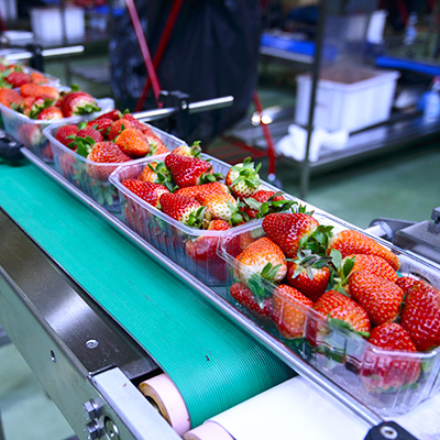 Food and beverage market