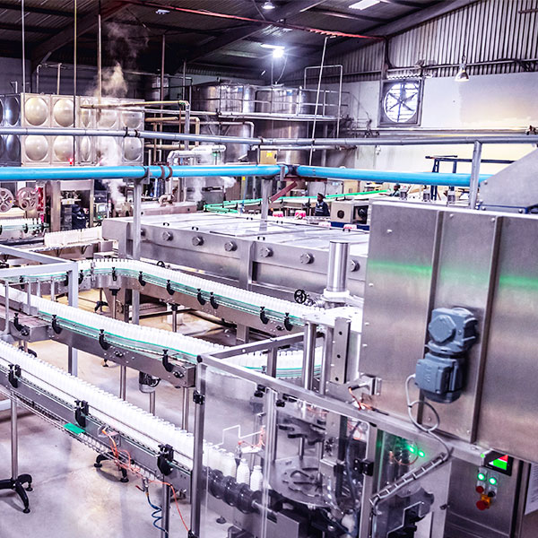 Milk bottling facility overhead
