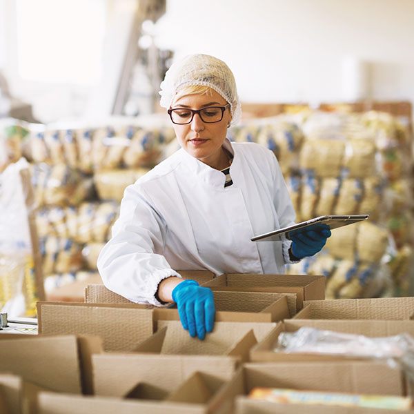 Female worker inspecting packaged boxes