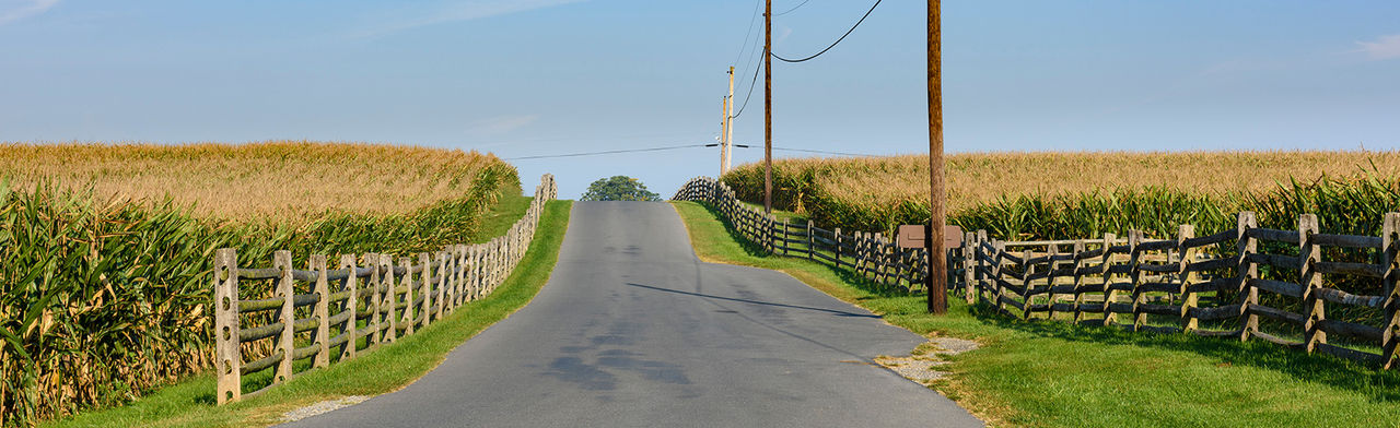 Highway thru Farmland and Corn Fields