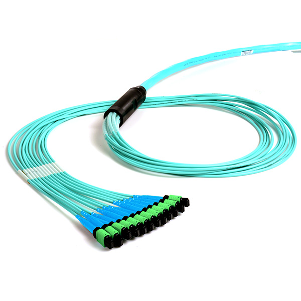 Siemon BASE8 MTP TRUNK Green Blue