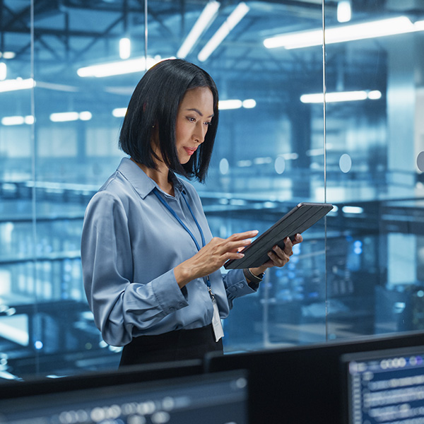 Lake Cable: Reliable Power for the Digital World