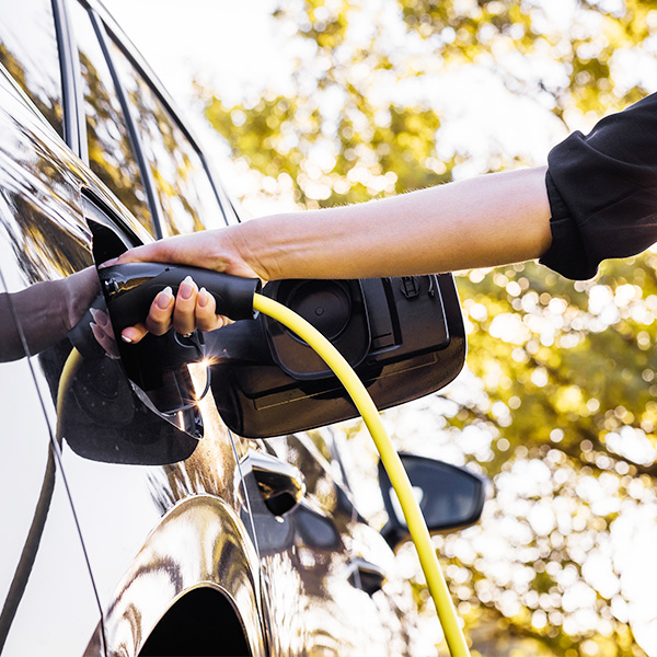 The Future of Sustainability in Our World