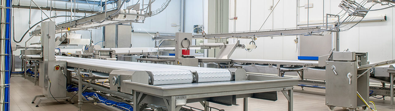 Conveyor in modern food processing facility