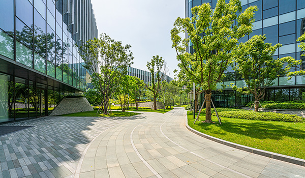Office buildings with trees outside.